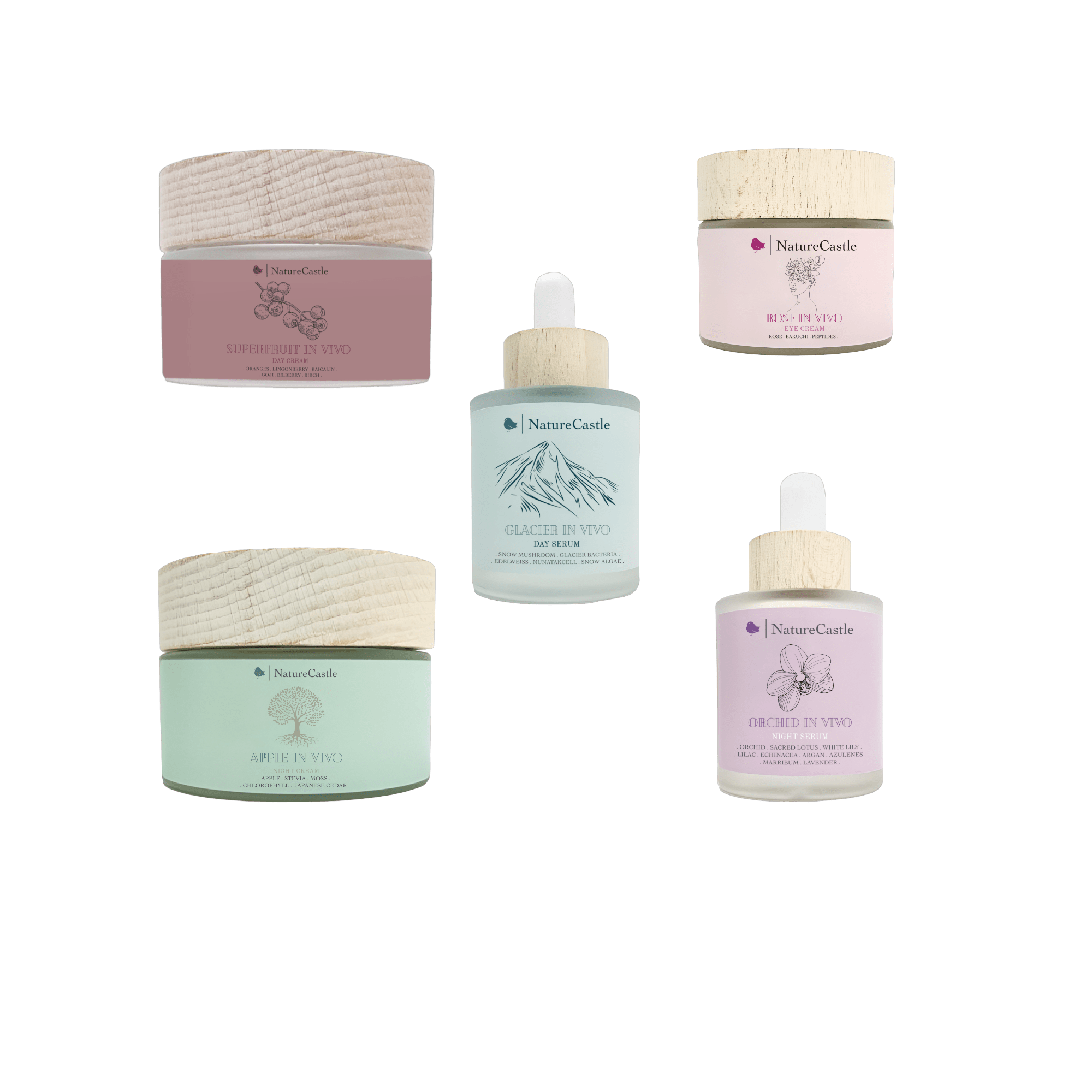 Coffret Cellules Souches In Vivo – Nature Castle