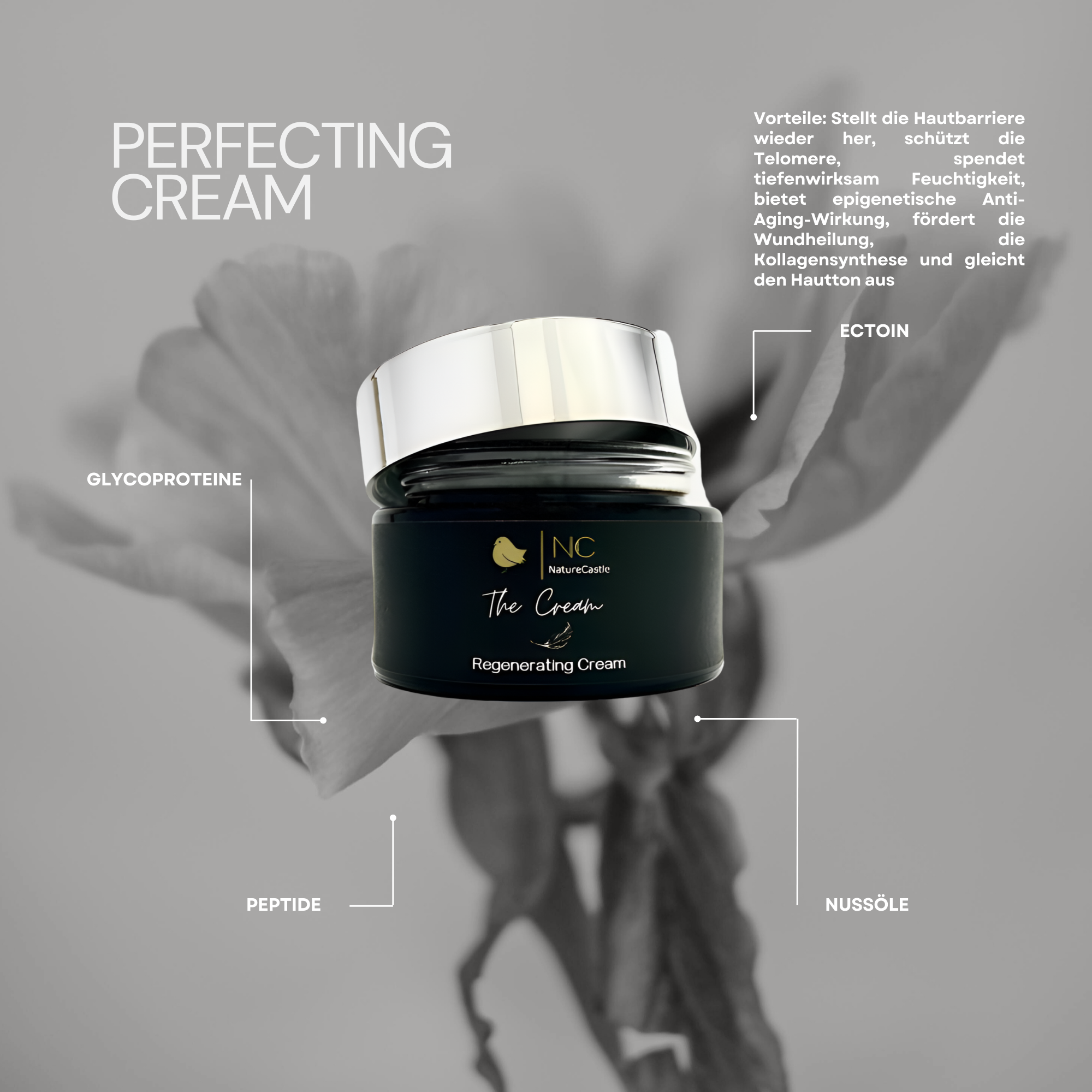 Crème Perfectrice – Nature Castle
