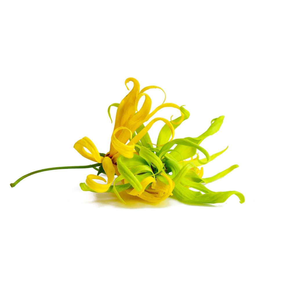 Déodorant Ylang-Ylang