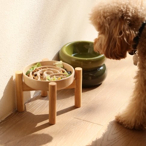 [Spark] Slow Feeder Dog Bowls - Red / Green / Blue - Averod