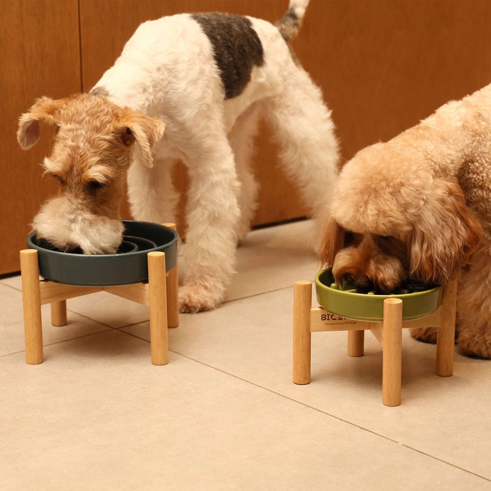 [Spark] Slow Feeder Dog Bowls - Red / Green / Blue - Averod
